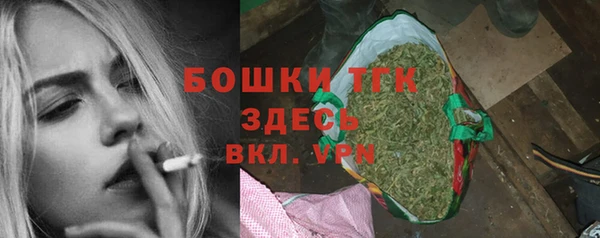 PSILOCYBIN Аркадак