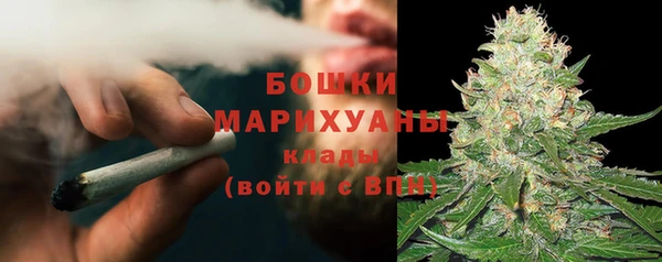 ГАЛЛЮЦИНОГЕННЫЕ ГРИБЫ Арсеньев