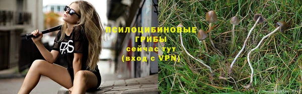 ГАЛЛЮЦИНОГЕННЫЕ ГРИБЫ Арсеньев